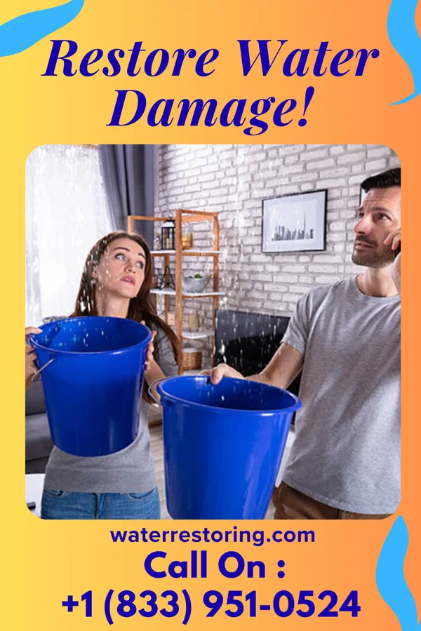 water restoration Platinum Restoration Solutions LLC Gladeville